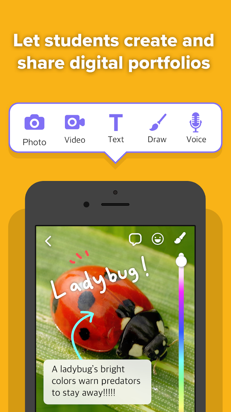 APP NAME