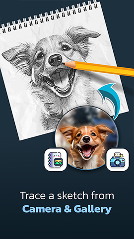 APP NAME