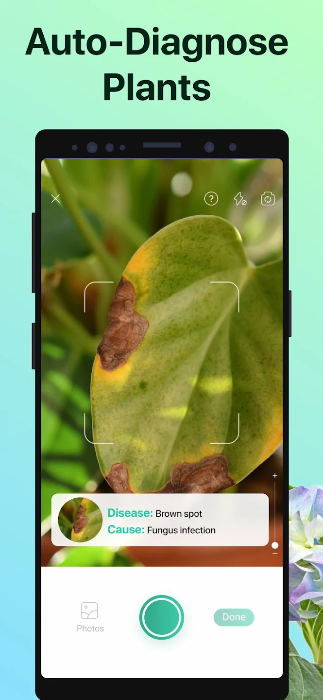 APP NAME